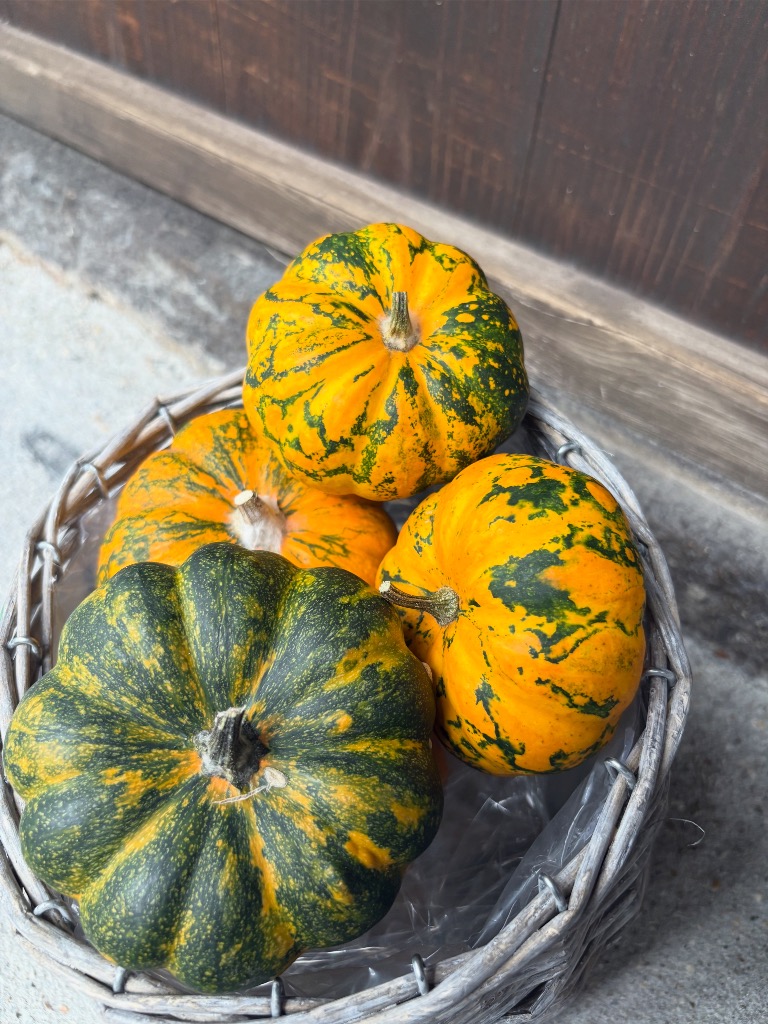 👻もうすぐハロウィン🎃