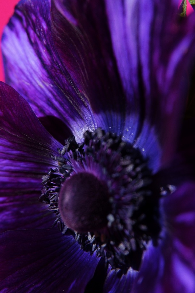 3月の出店予定を載せまーす❗️